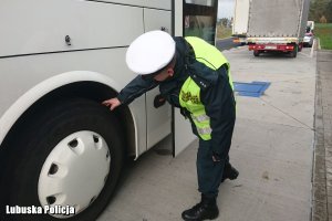 Kontrola opon w autokarze przez funkcjonariusza Inspekcji Transportu Drogowego