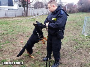 policjant bawi się z psem