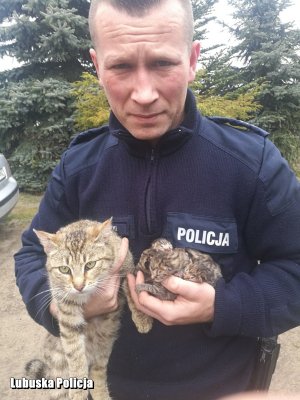 Sierżant sztabowy Jan Maławski wraz z uratowanymi kociętami.