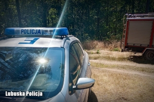 Policyjny radiowóz i wóz strażacki przy lesie