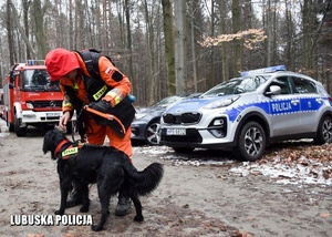 Funkcjonariusz straży pożarnej z psem tropiącym podczas ćwiczeń sztabowych w lesie.
