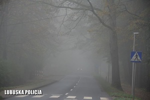 Droga podczas trudnych warunków atmosferycznych - mgły.