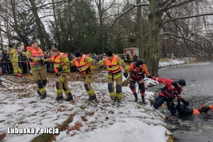 strażacy wyciągają z jeziora mężczyznę
