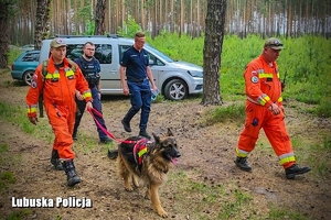 mundurowi z psami przeszukują las